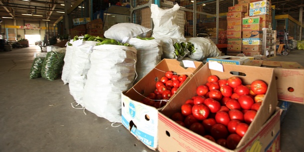 производство на домати